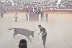 Vaquillas por San Saturio. /EM