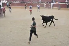 Vaquillas por San Saturio. /EM