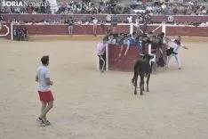 Vaquillas por San Saturio. /EM