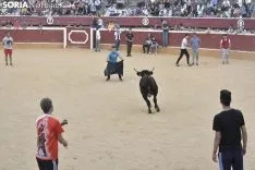 Vaquillas por San Saturio. /EM