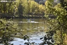 VI Regata de San Saturio. /SN