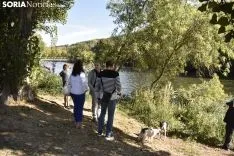 VI Regata San Saturio. /SN