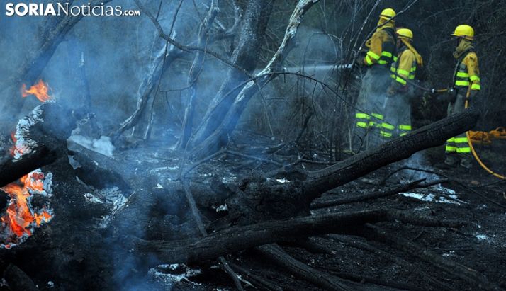 Personal anti incendios en un fuego forestal en la provincia. /SN