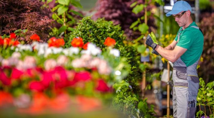 Los productores de flores afrontan Todos los Santos sumidos en el pesimismo