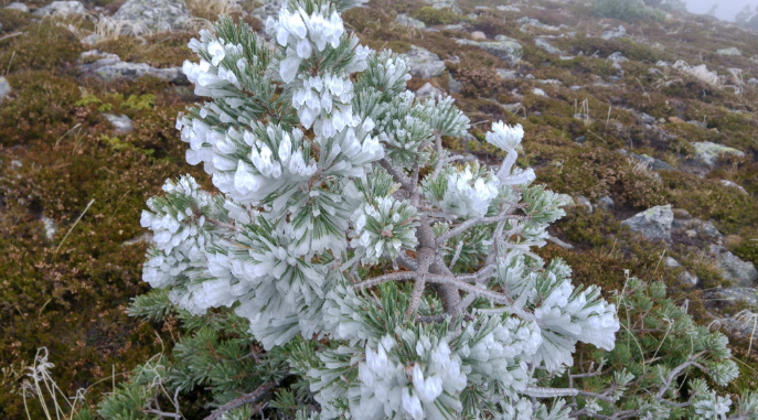 Urbión pasa del verano al invierno en tan solo horas