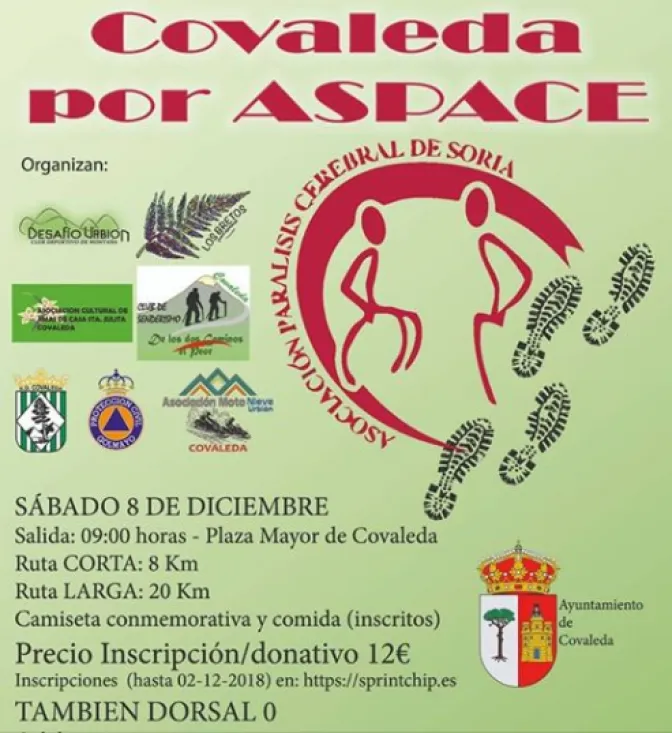 Cartel del evento.