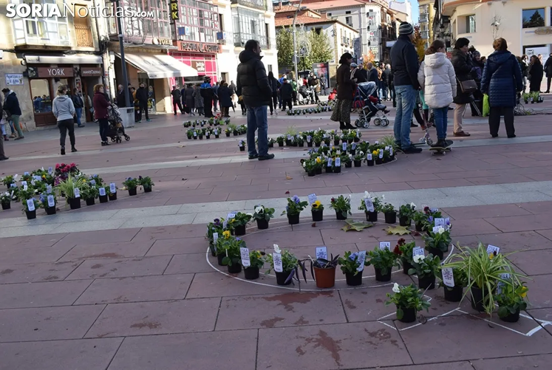 Día Internacional contra la Violencia de Género en Soria.