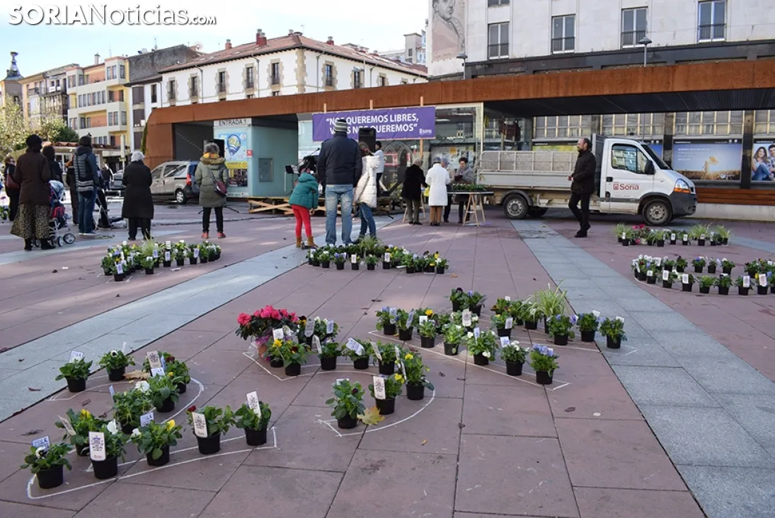Día Internacional contra la Violencia de Género en Soria.