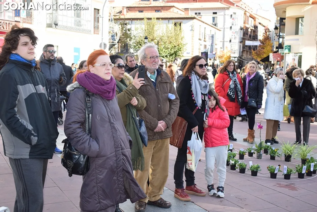 Día Internacional contra la Violencia de Género en Soria.
