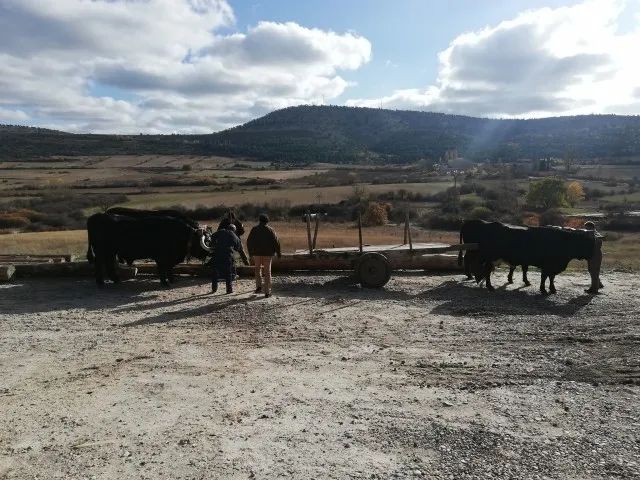 Imágenes de las jornadas.