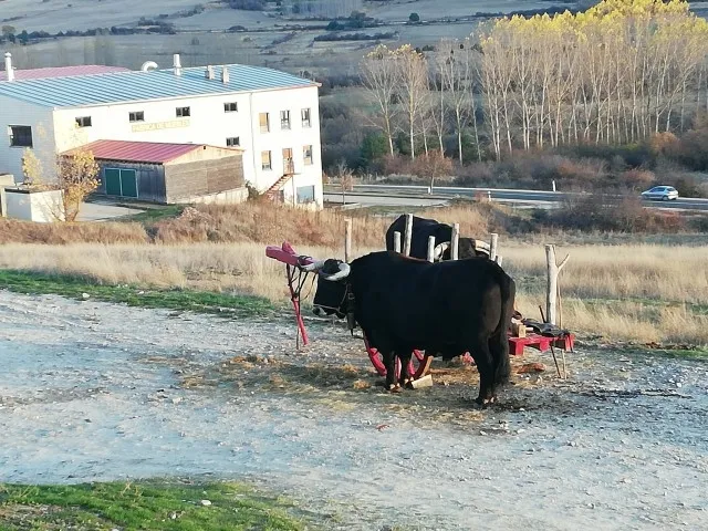 Imágenes de las jornadas.