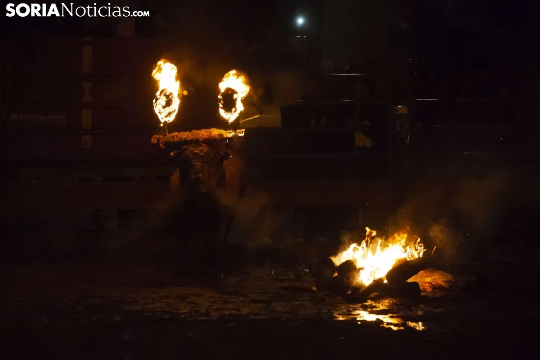 Toro Jubilo 2018 / María Ferrer