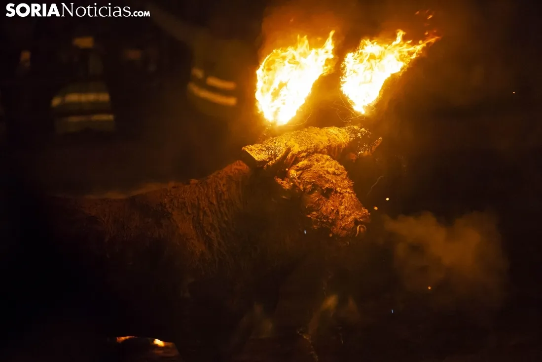 Toro Jubilo 2018 / María Ferrer