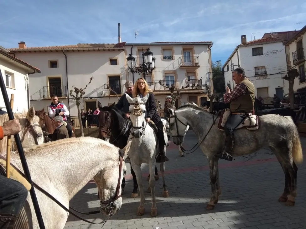 Trashumancia de Borobia.