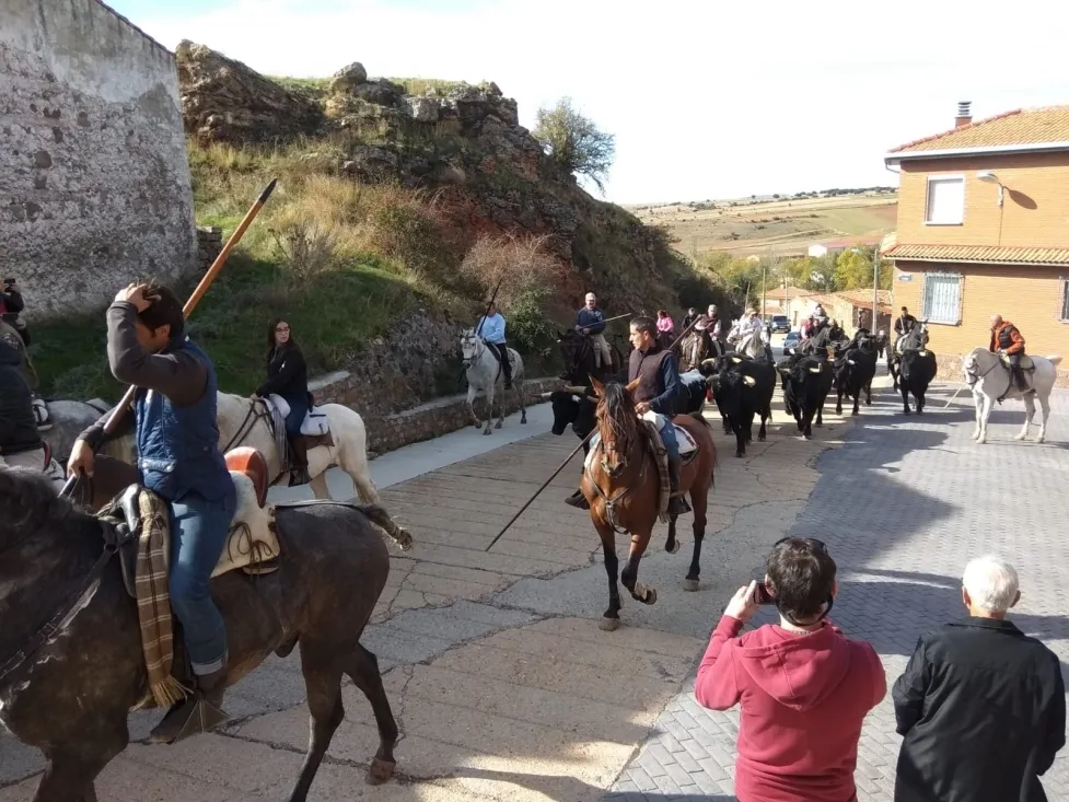 Trashumancia de Borobia.