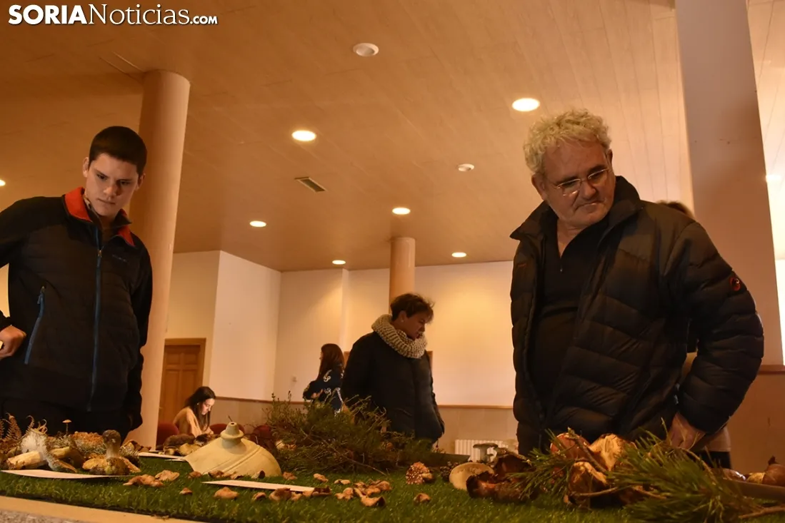 Exposición micológica Vinuesa. 