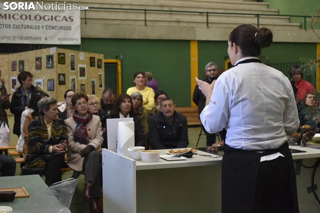 Jornadas Micológicas de Navaleno