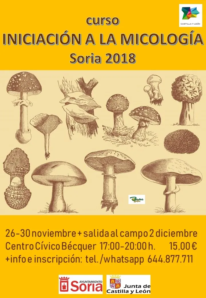 Foto 2 - Soria propone adentrarse en el mundo de las setas con un curso de micolog&iacute;a 
