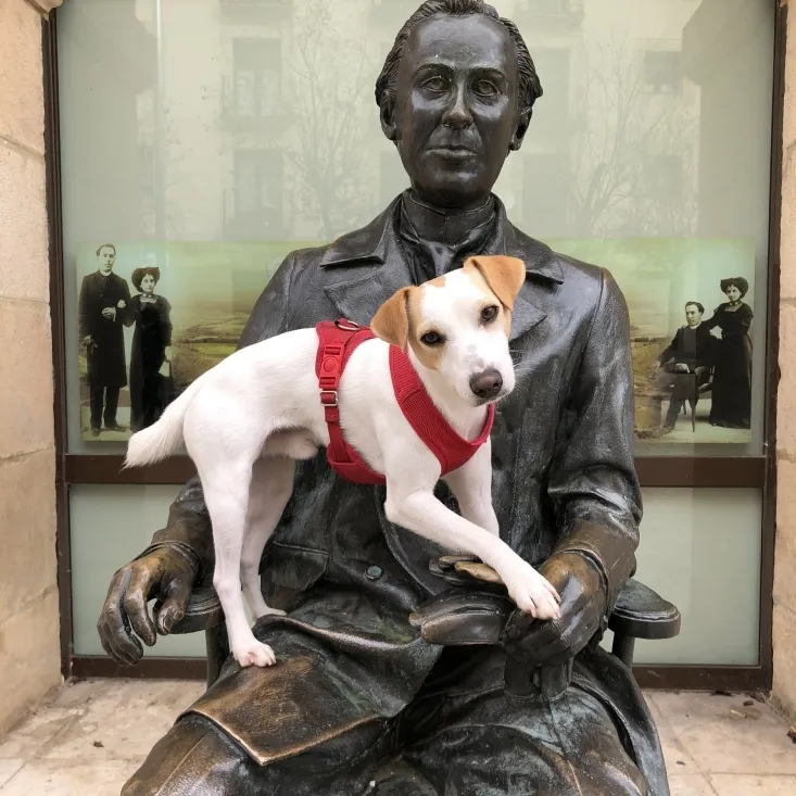 Pipper, en su viaje por Soria. 