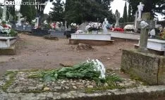 Imagen del cementerio de la capital este jueves de Todos los Santos