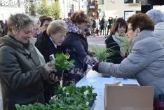 Día Internacional contra la Violencia de Género en Soria.