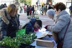 Día Internacional contra la Violencia de Género en Soria.
