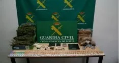 Foto 3 - La Guardia Civil culmina la operaci&oacute;n Huerto Verde desarticulando puntos de venta en Soria y en &Aacute;greda