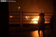 Toro Jubilo 2018 en Medinaceli. SN