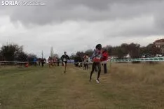 XXV Cross de Soria en Valonsadero. SN