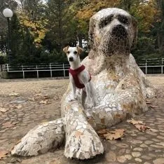 Una de las imágenes de la estancia de Pipper en Soria. 