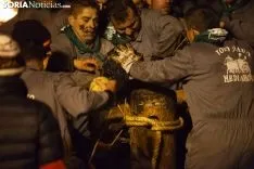 Toro Jubilo 2018 / María Ferrer