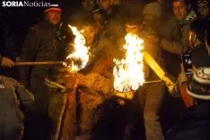 Toro Jubilo 2018 / María Ferrer