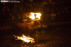Toro Jubilo 2018 / María Ferrer