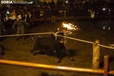 Toro Jubilo 2018 / María Ferrer