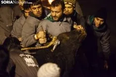 Toro Jubilo 2018 / María Ferrer