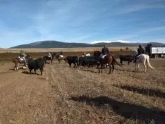 Trashumancia de Borobia.