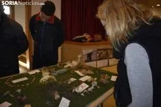 Exposición micológica Vinuesa. 