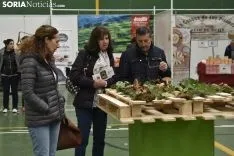 Jornadas Micológicas de Navaleno