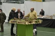 Jornadas Micológicas de Navaleno