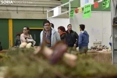 Jornadas Micológicas de Navaleno