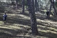 Bosque encantado de San Leonarde de Yagüe. /EM