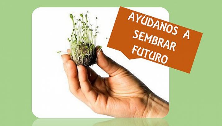 Asovica-Fadess anima a plantar ‘Bomas de Vida’ este sábado