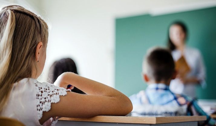 CSIF gana dos sentencias que reconocen el salario durante el verano a docentes interinos