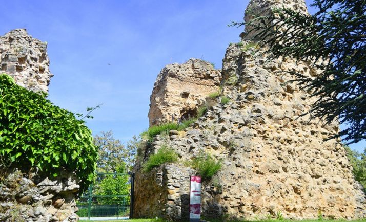 Restos de la muralla y el Castillo.