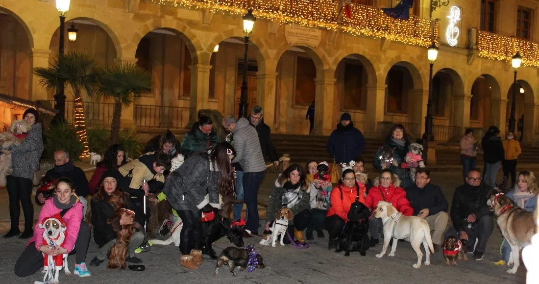 Foto 2 - Navidades perrunas en la capital