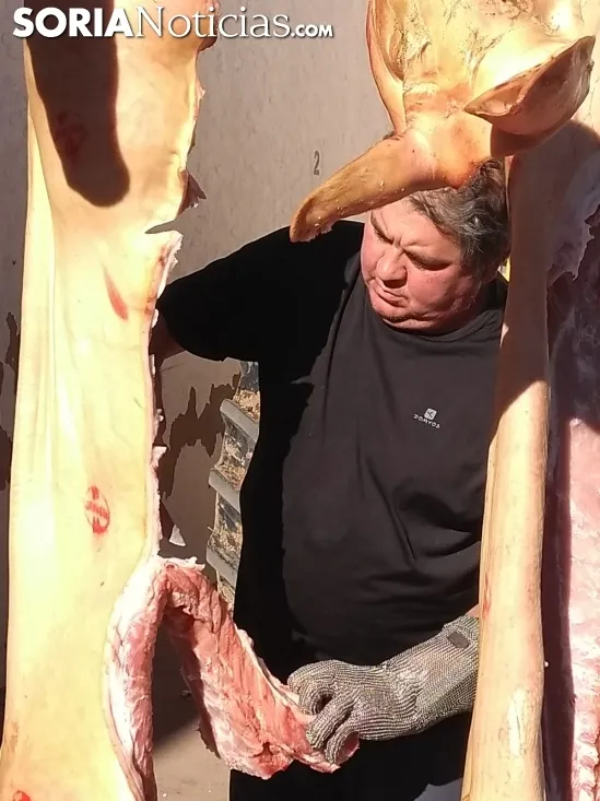 La feria de la matanza en Garray. 