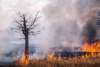 Foto 1 - Grandes incendios en Canadá afectan a la atmósfera de Castilla y León