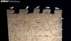 Imagen de las aves en las almenas del torreón esta noche. /SN