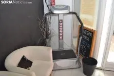 Foto 6 - Svelte o la pasi&oacute;n por la est&eacute;tica