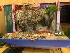 Una imagen de la jornada en el centro social olvegueño
